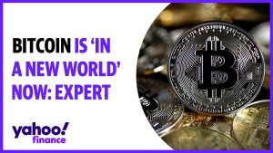 Bitcoin is ‘in a new world’ now: Expert