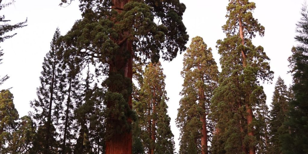 Why large-cap stocks are a better bet for the rest of 2023 — and 10 you want to own