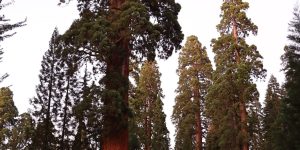 Why large-cap stocks are a better bet for the rest of 2023 — and 10 you want to own