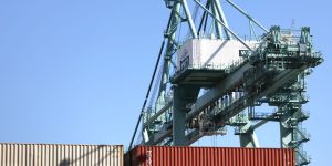 OECD sees ‘a loss of momentum in second half’ as it tweaks forecasts