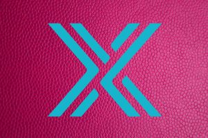 Is It Too Late to Buy ImmutableX? IMX Price Rockets Up 30% as Whales Start Accumulating and Meme Kombat Could Be the Next Crypto to Explode