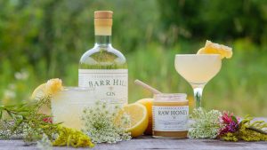 This ‘buzzy’ honey-flavored gin is all about the bees