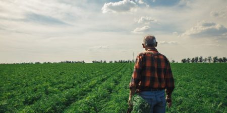 ‘It feels like a nightmare’: My brother and sister hid our father’s will, which would have left me $135,000. What can I do?