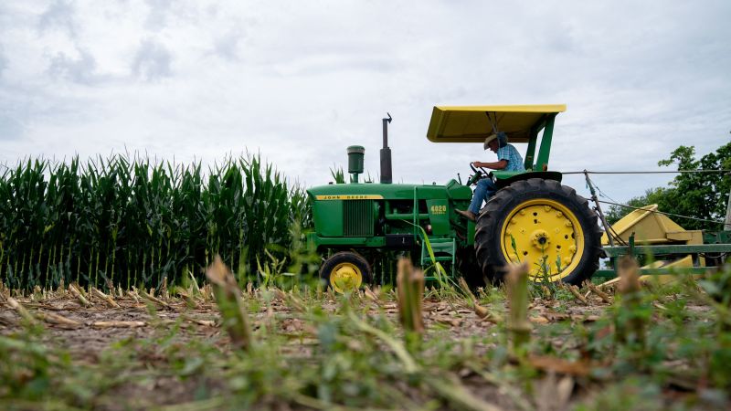 Here’s why farmers aren’t included in the US monthly jobs report