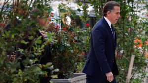 Hunter Biden tells court he plans to plead not guilty to gun charges