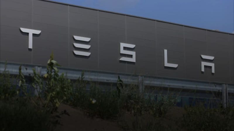 Tesla Stages $80 Billion Rally After Morgan Stanley Ups Price Target On AI Optimism