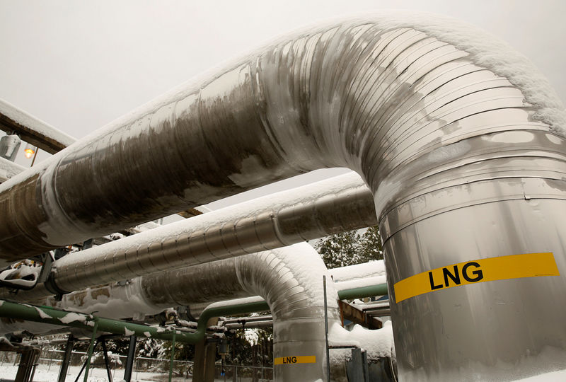 US needs more pipeline capacity for reliable gas supply -trade group