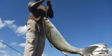 Opinion: Financial advisers still have too many ways to snag gullible investors