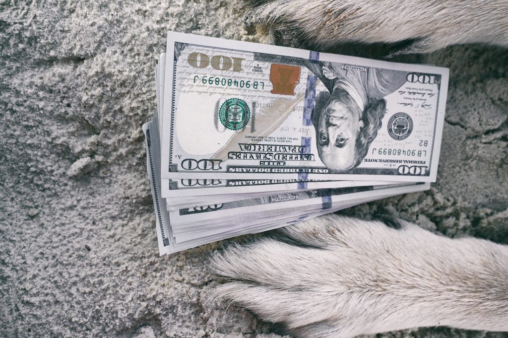 Buy 7 Barron’s Better Bets (Than T-Bills) From 15 ‘Safer’ Of 23 September Dividend Dogs