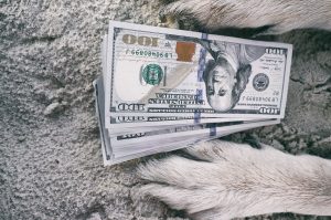 Buy 7 Barron’s Better Bets (Than T-Bills) From 15 ‘Safer’ Of 23 September Dividend Dogs