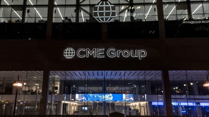 CME trading halt disrupts global markets